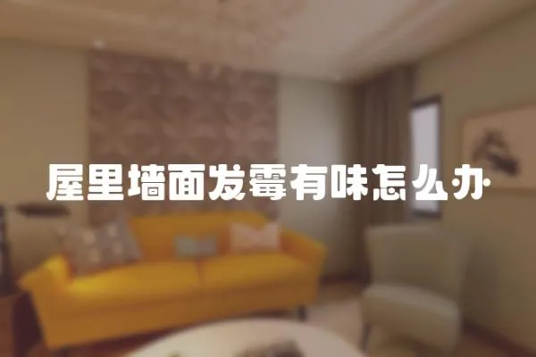 屋里墻面發霉有味怎么辦