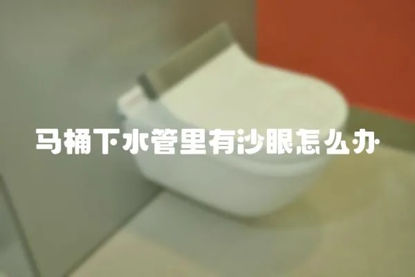 馬桶下水管里有沙眼怎么辦