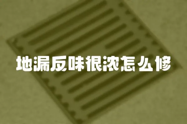 地漏反味很濃怎么修