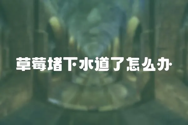 草莓堵下水道了怎么辦