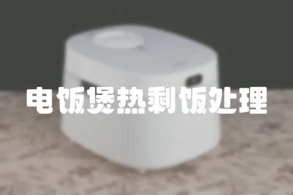 電飯煲熱剩飯處理