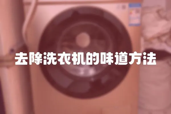 去除洗衣機的味道方法