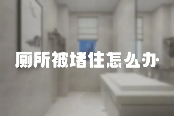 廁所被堵住怎么辦