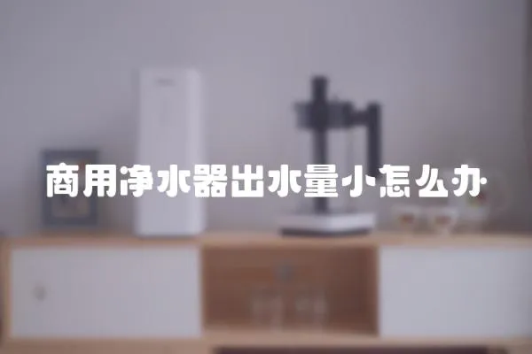 商用凈水器出水量小怎么辦