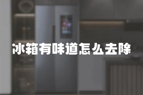 冰箱有味道怎么去除