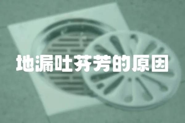 地漏吐芬芳的原因