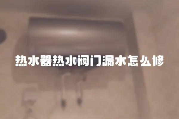熱水器熱水閥門漏水怎么修