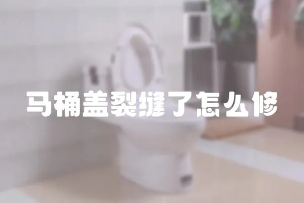 馬桶蓋裂縫了怎么修