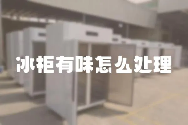 冰柜有味怎么處理