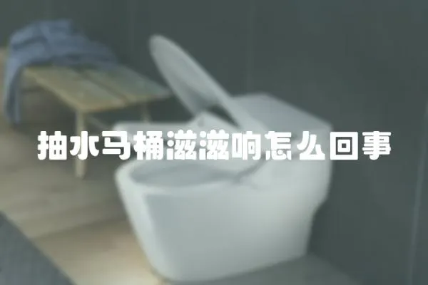 抽水馬桶滋滋響怎么回事