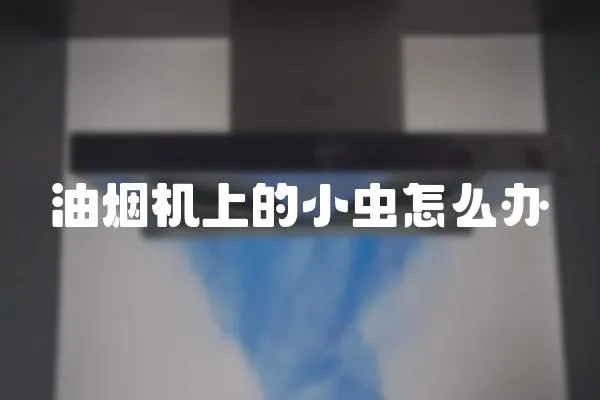油煙機上的小蟲怎么辦