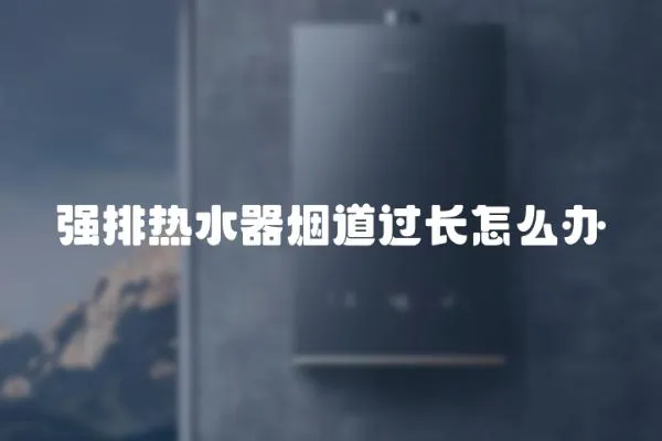 強(qiáng)排熱水器煙道過(guò)長(zhǎng)怎么辦