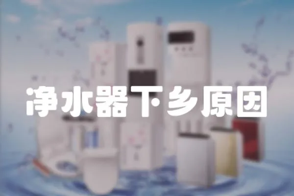 凈水器下鄉原因