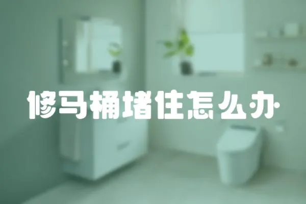 修馬桶堵住怎么辦