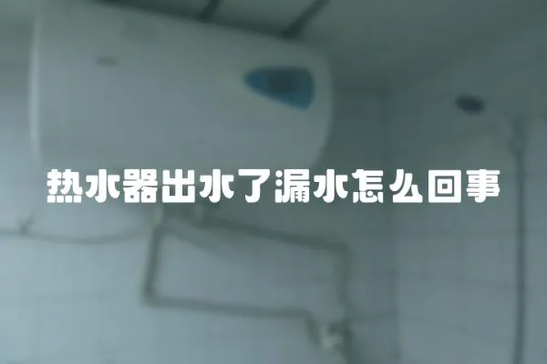 熱水器出水了漏水怎么回事