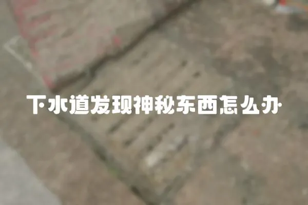 下水道發現神秘東西怎么辦