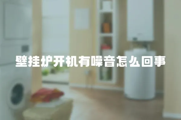 壁掛爐開機有噪音怎么回事