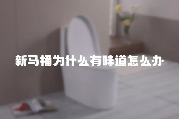 新馬桶為什么有味道怎么辦