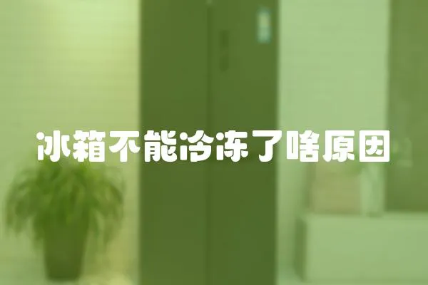 冰箱不能冷凍了啥原因