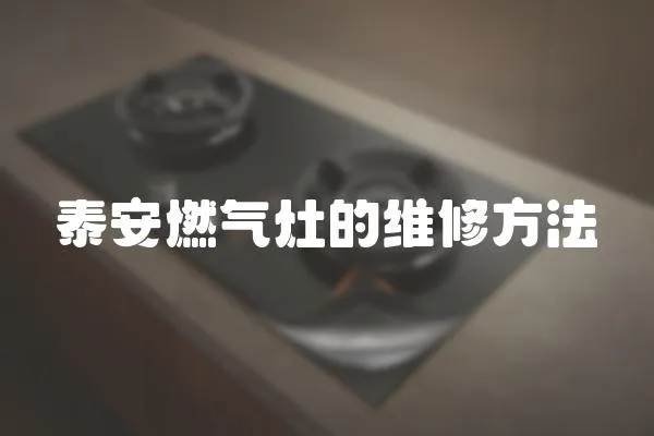 泰安燃?xì)庠畹木S修方法