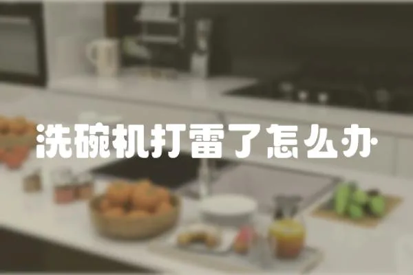 洗碗機打雷了怎么辦