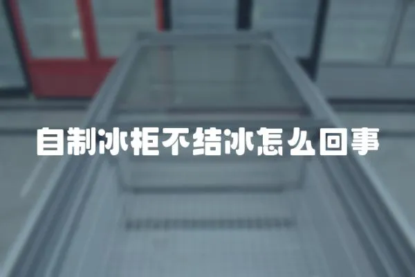 自制冰柜不結冰怎么回事