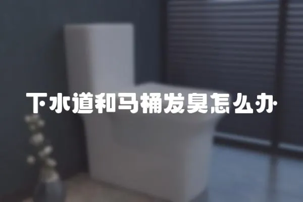 下水道和馬桶發(fā)臭怎么辦