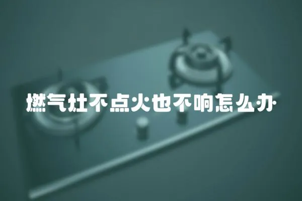 燃?xì)庠畈稽c(diǎn)火也不響怎么辦