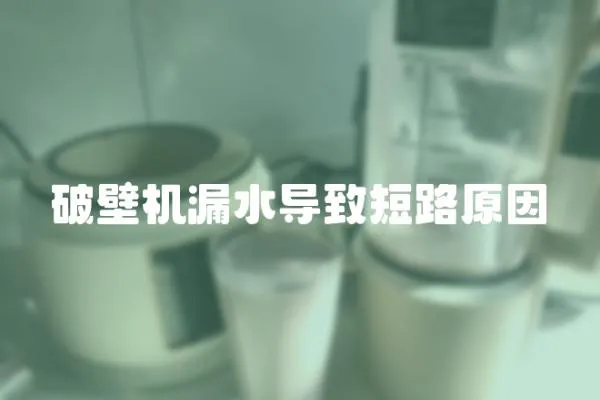 破壁機漏水導致短路原因