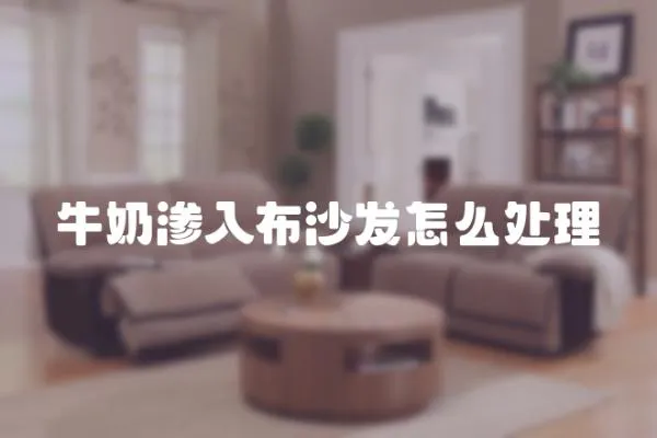 牛奶滲入布沙發怎么處理