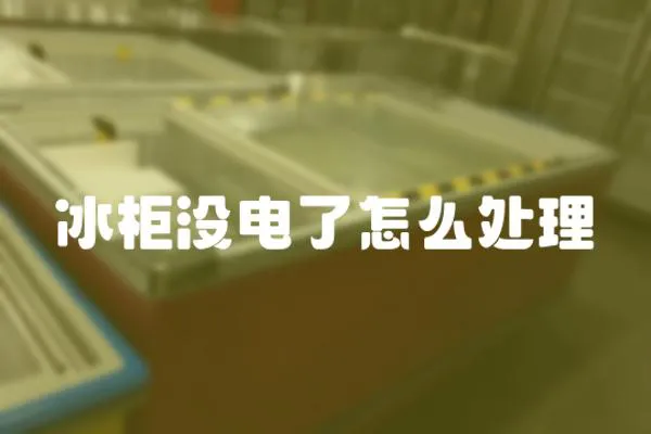 冰柜沒電了怎么處理