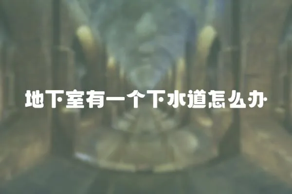 地下室有一個下水道怎么辦
