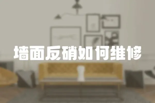 墻面反硝如何維修