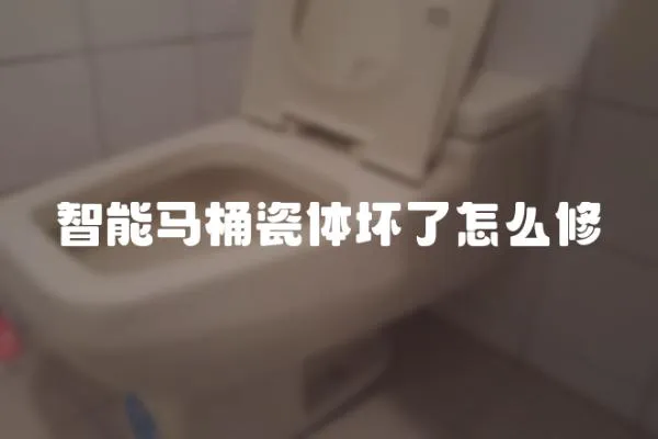 智能馬桶瓷體壞了怎么修
