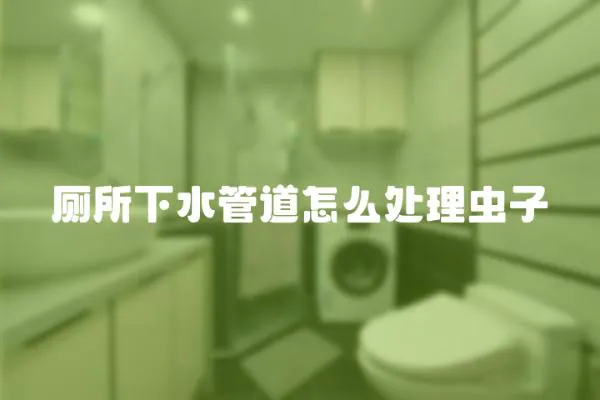 廁所下水管道怎么處理蟲子