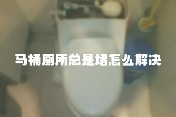 馬桶廁所總是堵怎么解決