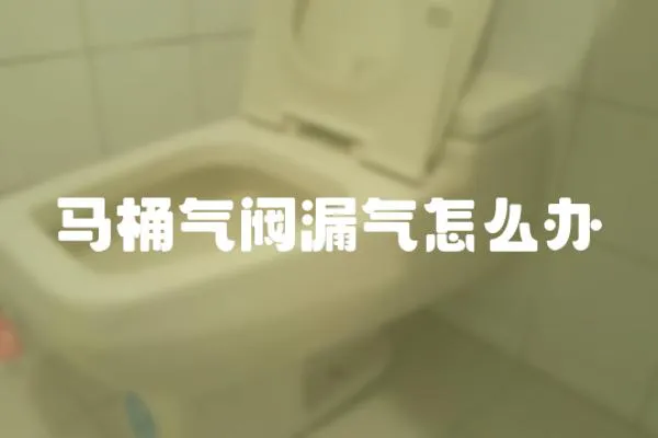 馬桶氣閥漏氣怎么辦
