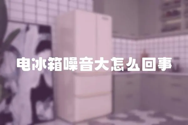 電冰箱噪音大怎么回事