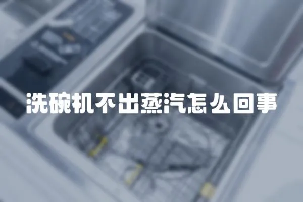 洗碗機不出蒸汽怎么回事