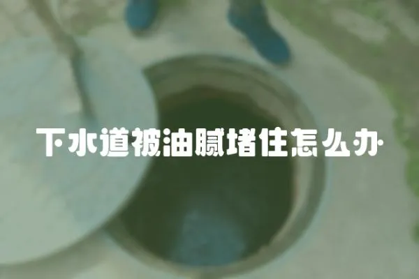 下水道被油膩堵住怎么辦