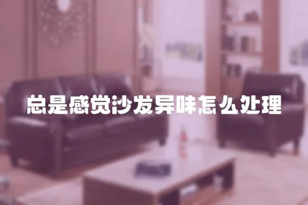 總是感覺沙發(fā)異味怎么處理