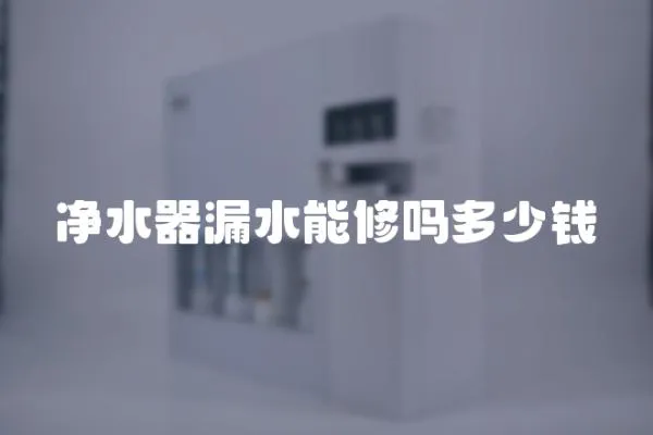 凈水器漏水能修嗎多少錢