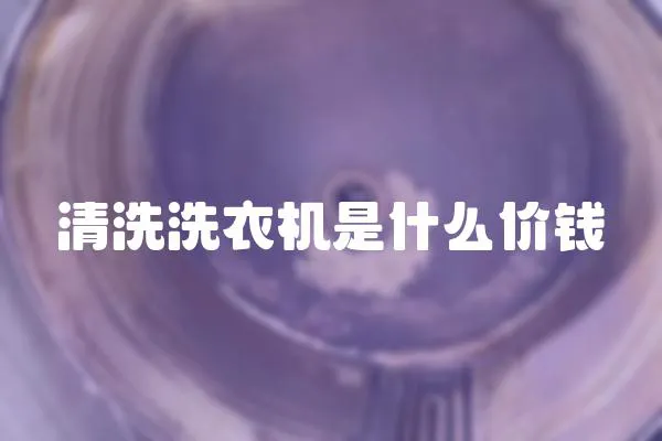 清洗洗衣機(jī)是什么價錢