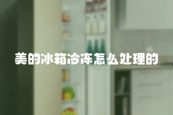 美的冰箱冷凍怎么處理的