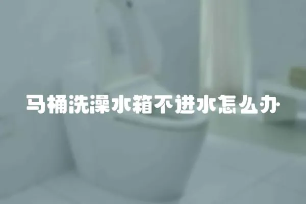馬桶洗澡水箱不進水怎么辦
