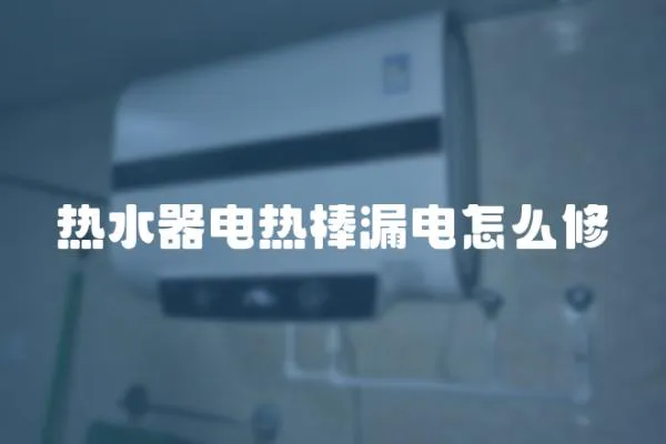 熱水器電熱棒漏電怎么修