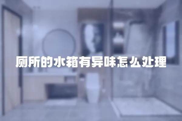 廁所的水箱有異味怎么處理