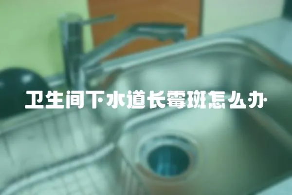 衛(wèi)生間下水道長霉斑怎么辦