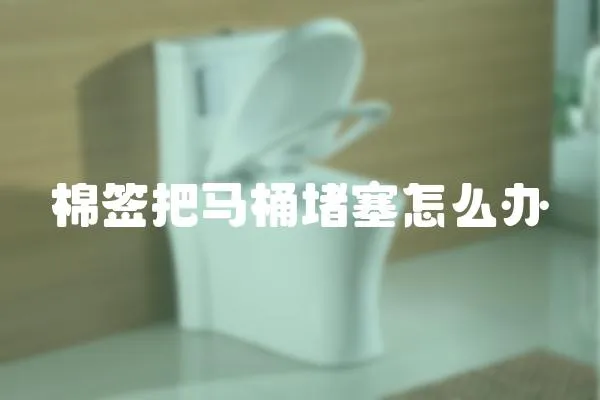 棉簽把馬桶堵塞怎么辦