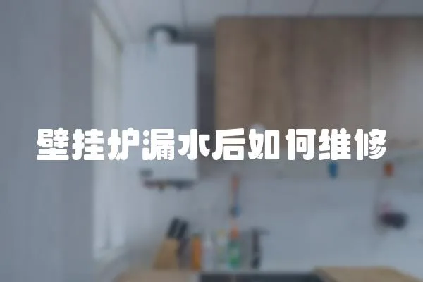壁掛爐漏水后如何維修